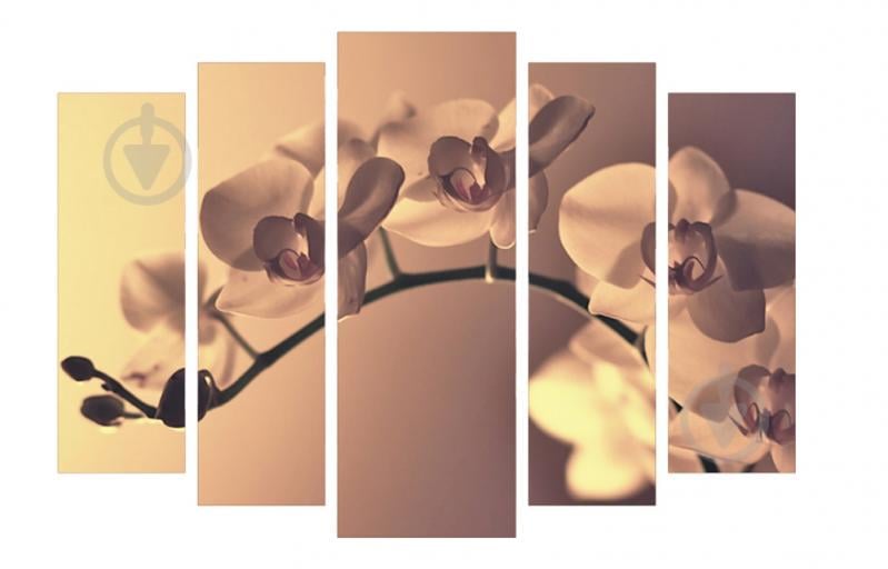 Модульная картина Декор Карпаты 120х80 см (M5-75)