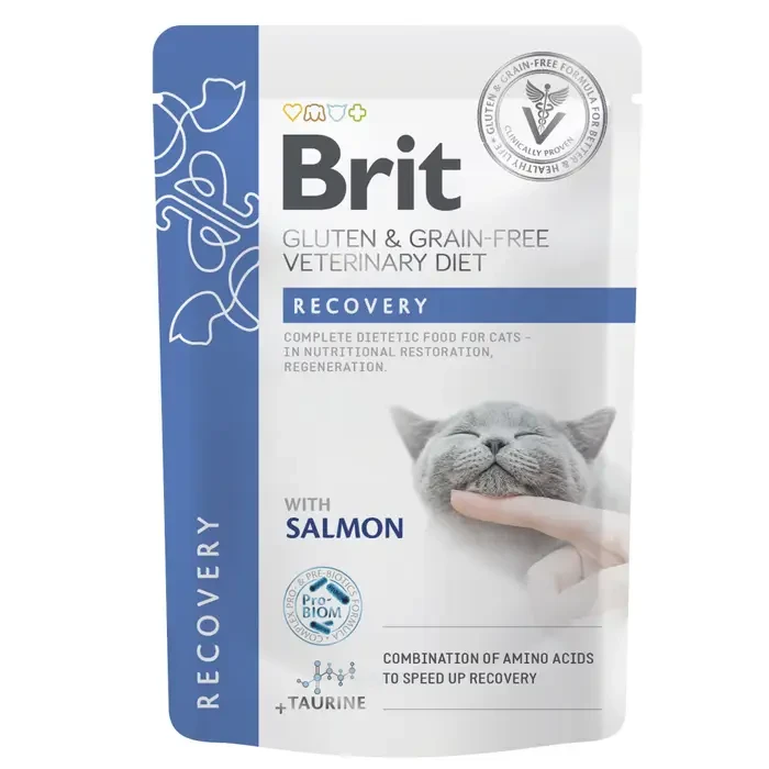 Корм вологий для котів Brit GF VetDiet Recovery з лососем 85 г (101116_1)