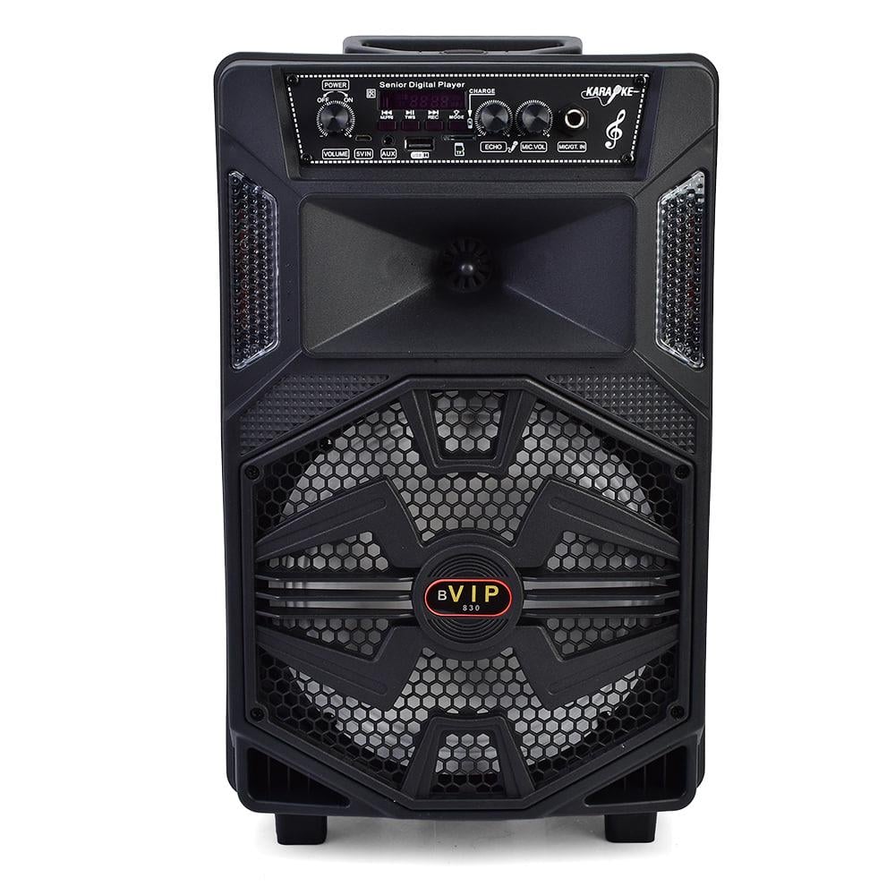 Колонка музыкальная JT-830 (27475854)