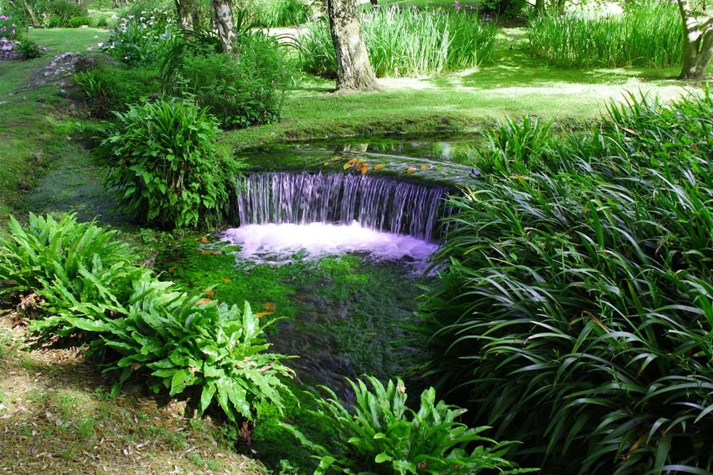 Картина Природа PR182 55х85 см