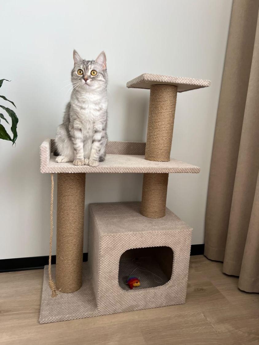 Кігтеточка з будиночком та лежанкою 85x55x35 см Бежевий (21706949) - фото 3 Кігтеточка з будиночком та лежанкою 85x55x35 см Бежевий (21706949) - фото 3