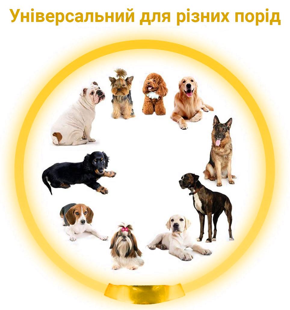 Ошейник iPets LC-01 с LED свечением L Желтый - фото 7 Ошейник iPets LC-01 с LED свечением L Желтый - фото 7