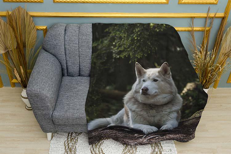 Плед White and proud husky плюш однослойный 150х210 см (113977-1)