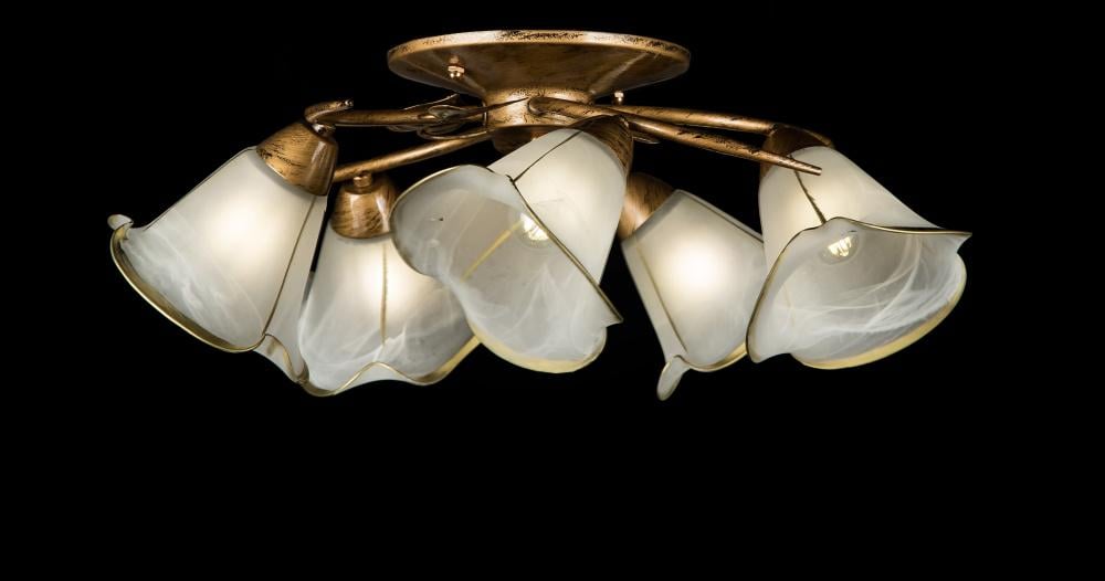 Люстра з плафонами Ray L88780/5 GB+WT (IR005843)