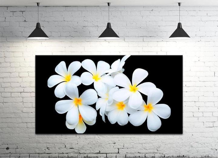 Картина на холсте DK Цветы на черном 50х100 см (DKP4560-c106)