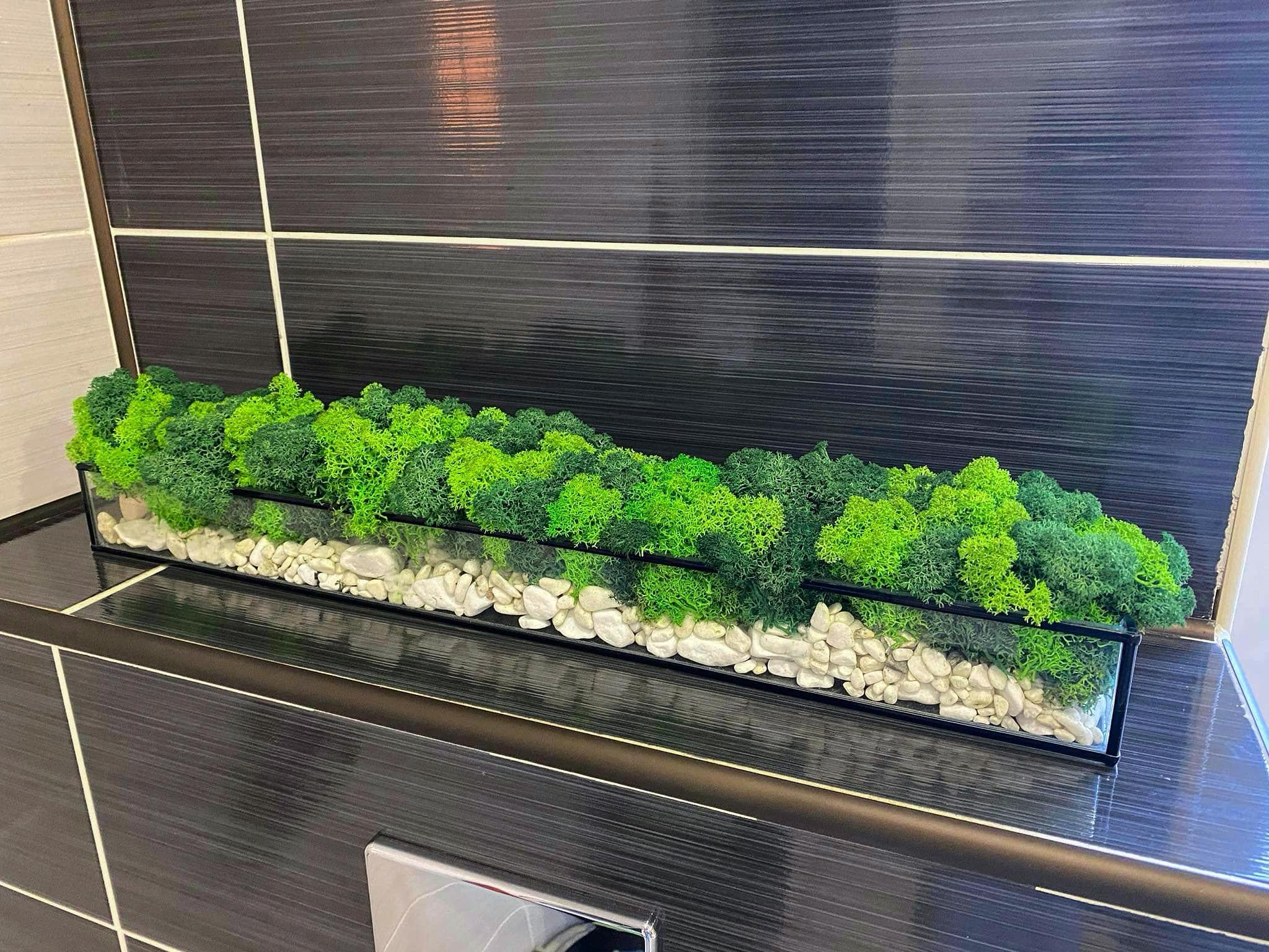 Моссаріум зі стабілізованим мохом (32544628)