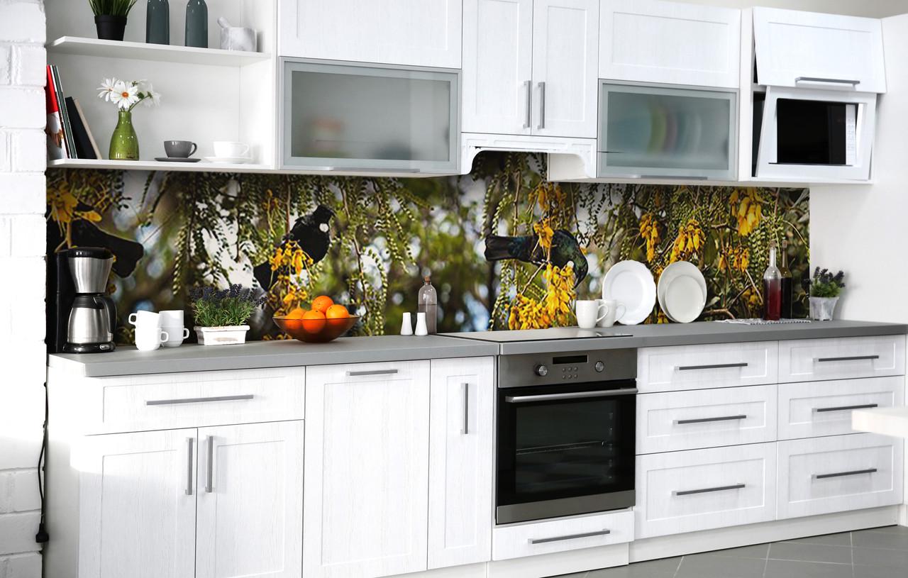 Кухонный фартук В гостях у желтой акации виниловый самоклеющийся 65х250 см