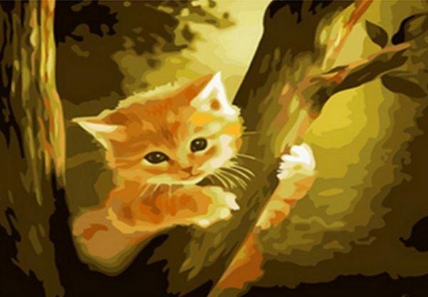 Картина по номерам Josef Otten Животные Котенок на дереве 40х50 см в термопакете (9418PH_O-mt)