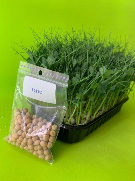 Набір для вирощування мікрозелені Micrograss на 10 врожаїв