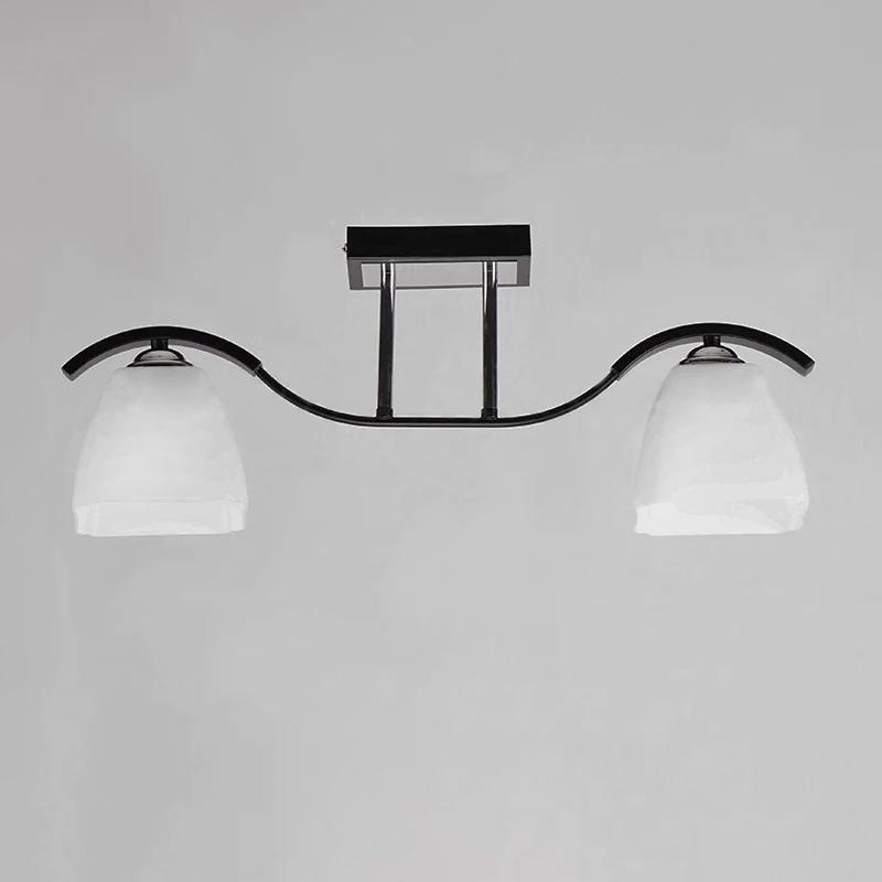 Люстра потолочная Light House NM-14405/2 CR BK WT на две лампы Черный