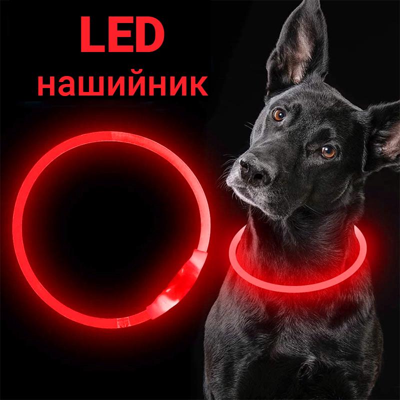 Нашийник iPets LC-01 з LED світінням L Червоний - фото 3 Нашийник iPets LC-01 з LED світінням L Червоний - фото 3