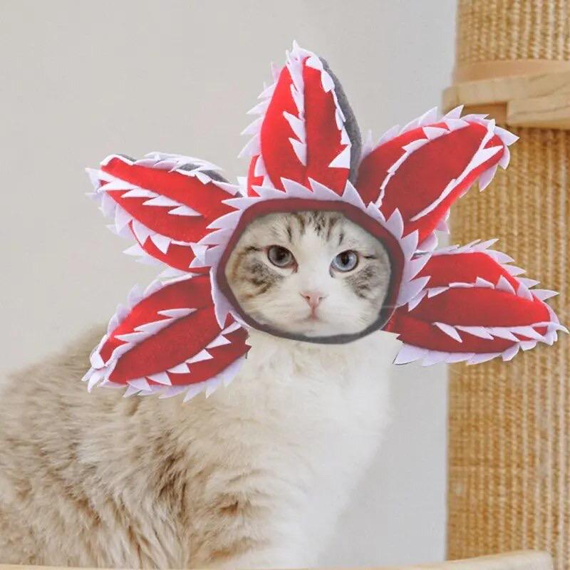 Шапка для котов и собак Сircus S Red (234595) - фото 4