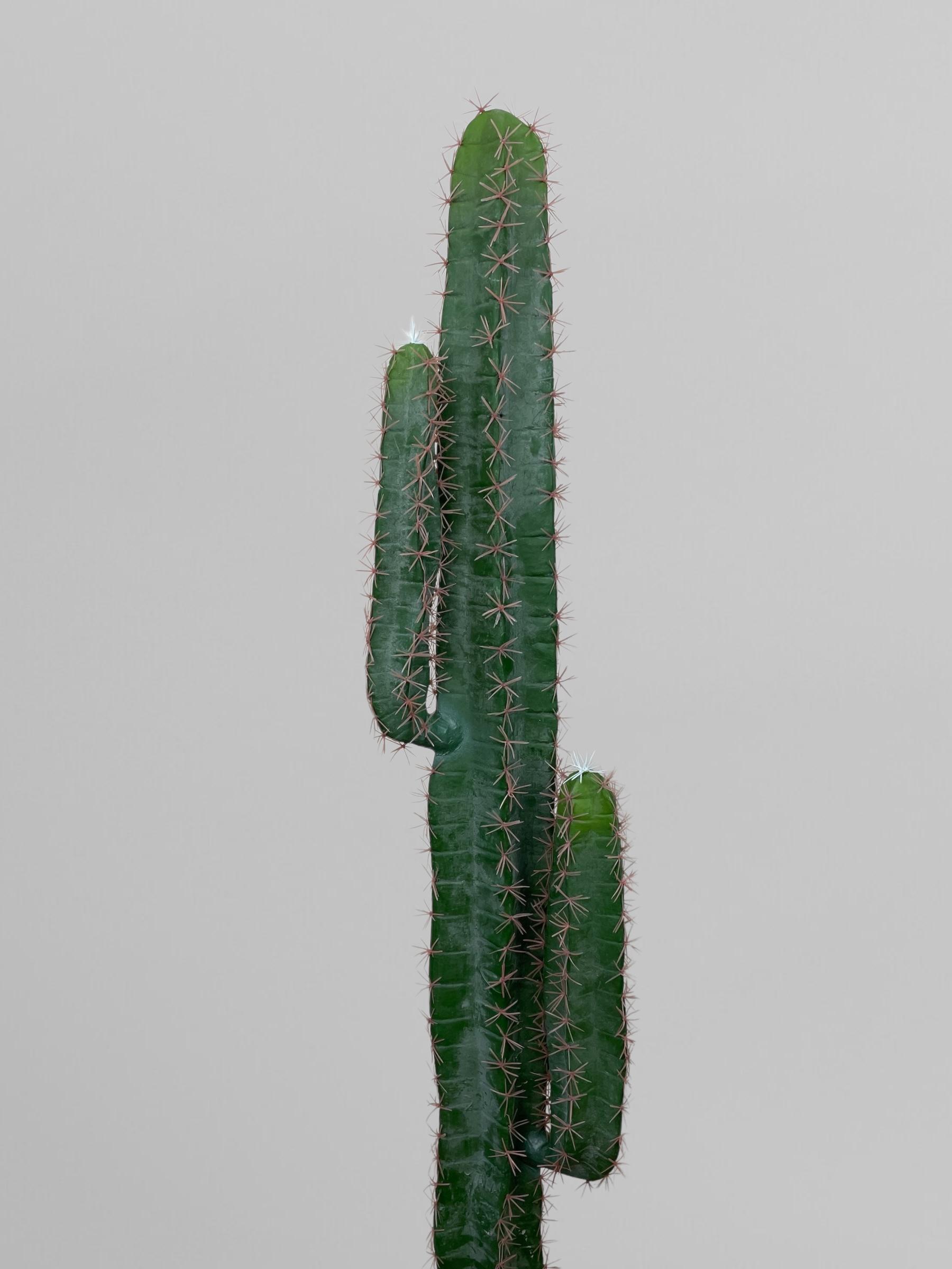Искусственный кактус 150 см Зеленый (Р06002) - фото 5 Искусственный кактус 150 см Зеленый (Р06002) - фото 5