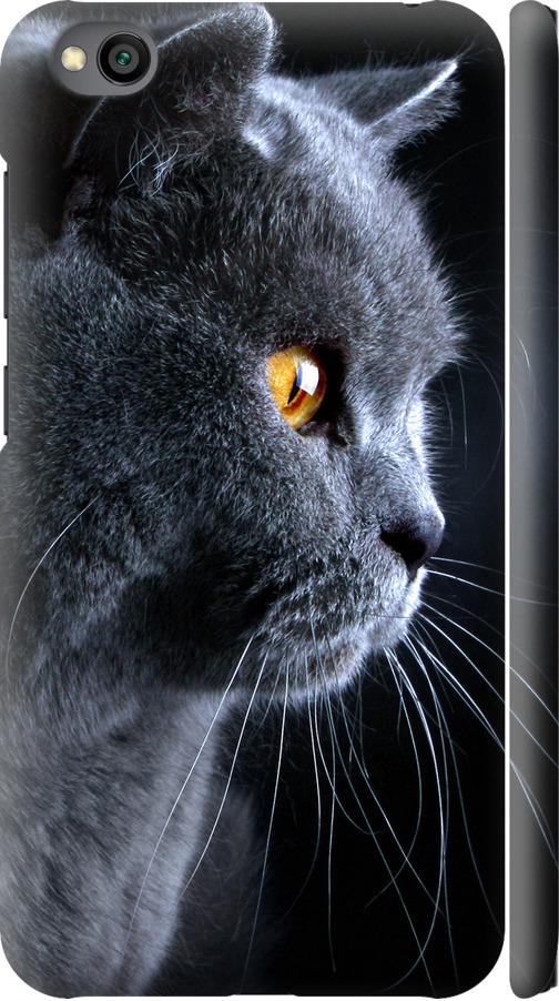 Чохол на Xiaomi Redmi Go Гарний кіт (3038m-1667-42517)