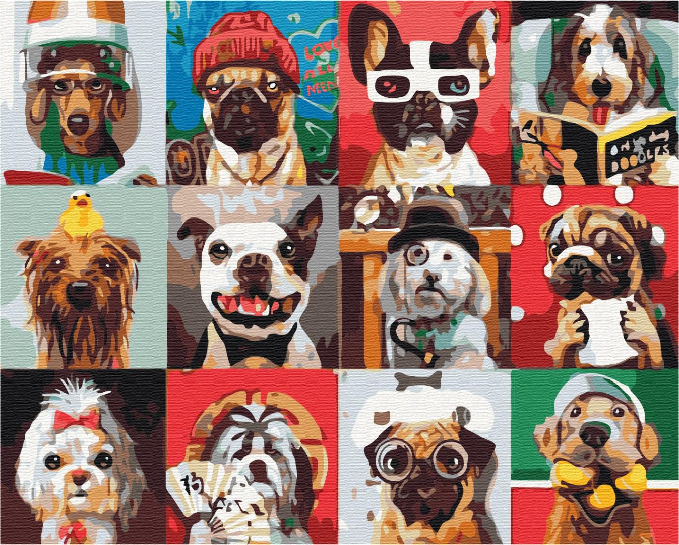 Картина по номерам Brushme Пушистый отдых 40x50 см (BS37981)