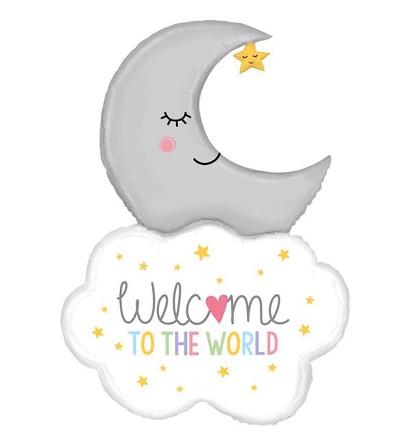 Воздушный шар Welcome to the world 57х81 см (12403687)