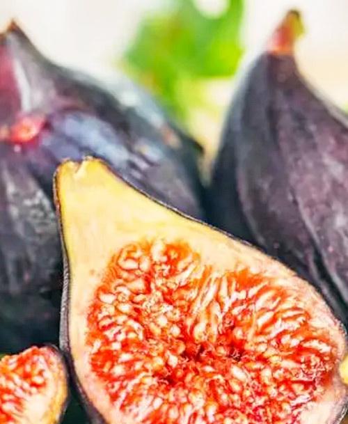 Сажанець Інжир Королівський саджанець 2 роки ремонтантний великоплідний сорт середній термін дозрівання (102127)