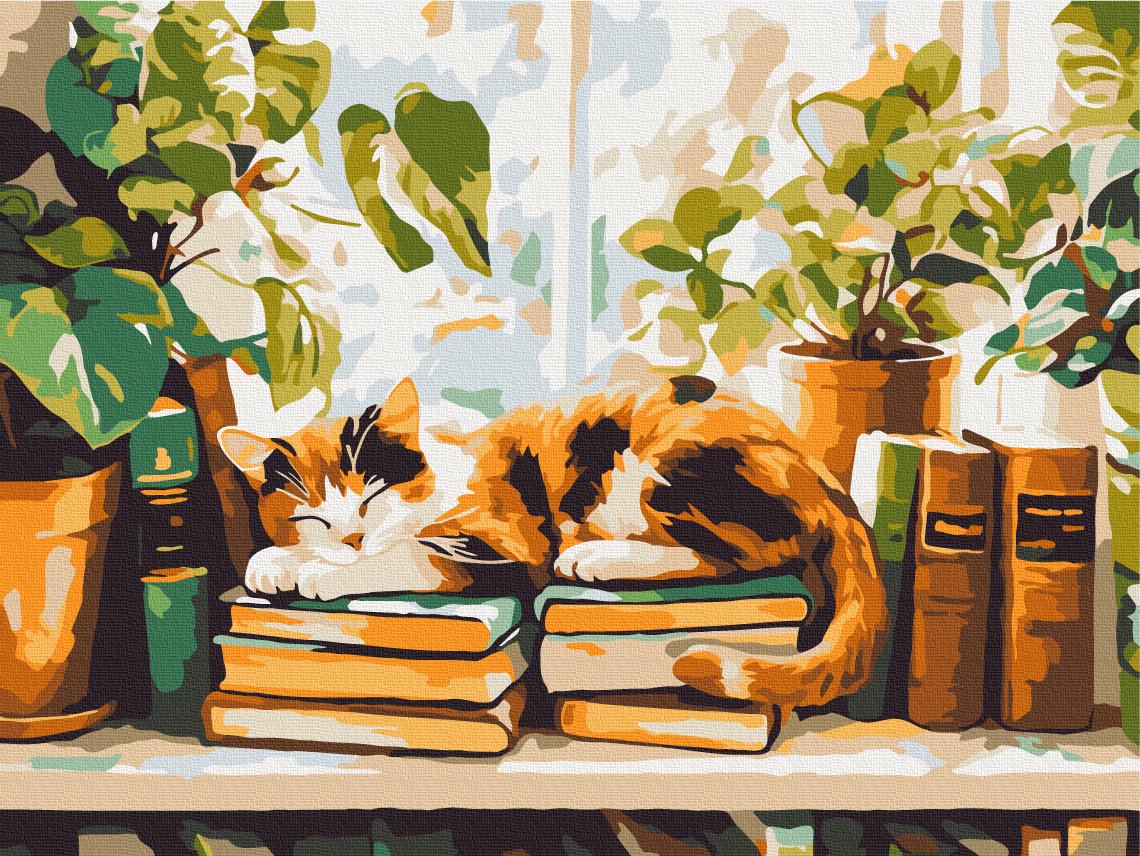 Картина за номерами Brushme Кіт у вікні 30x40 см (3112790578)