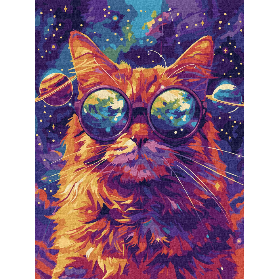 Картина по номерам Ideyka Звездные очки 30х40 см (KHO6651)