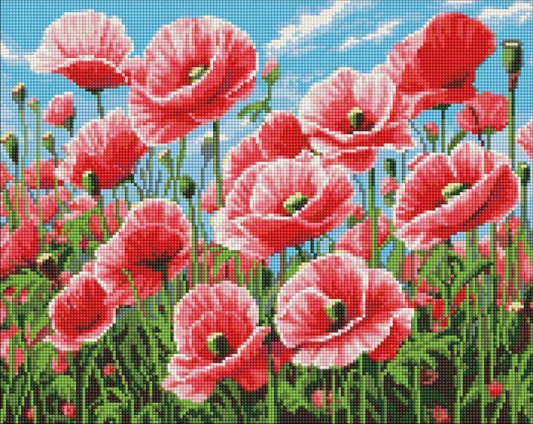 Алмазная мозаика Ideyka Розовые маки 40х50 см (AMO20436)