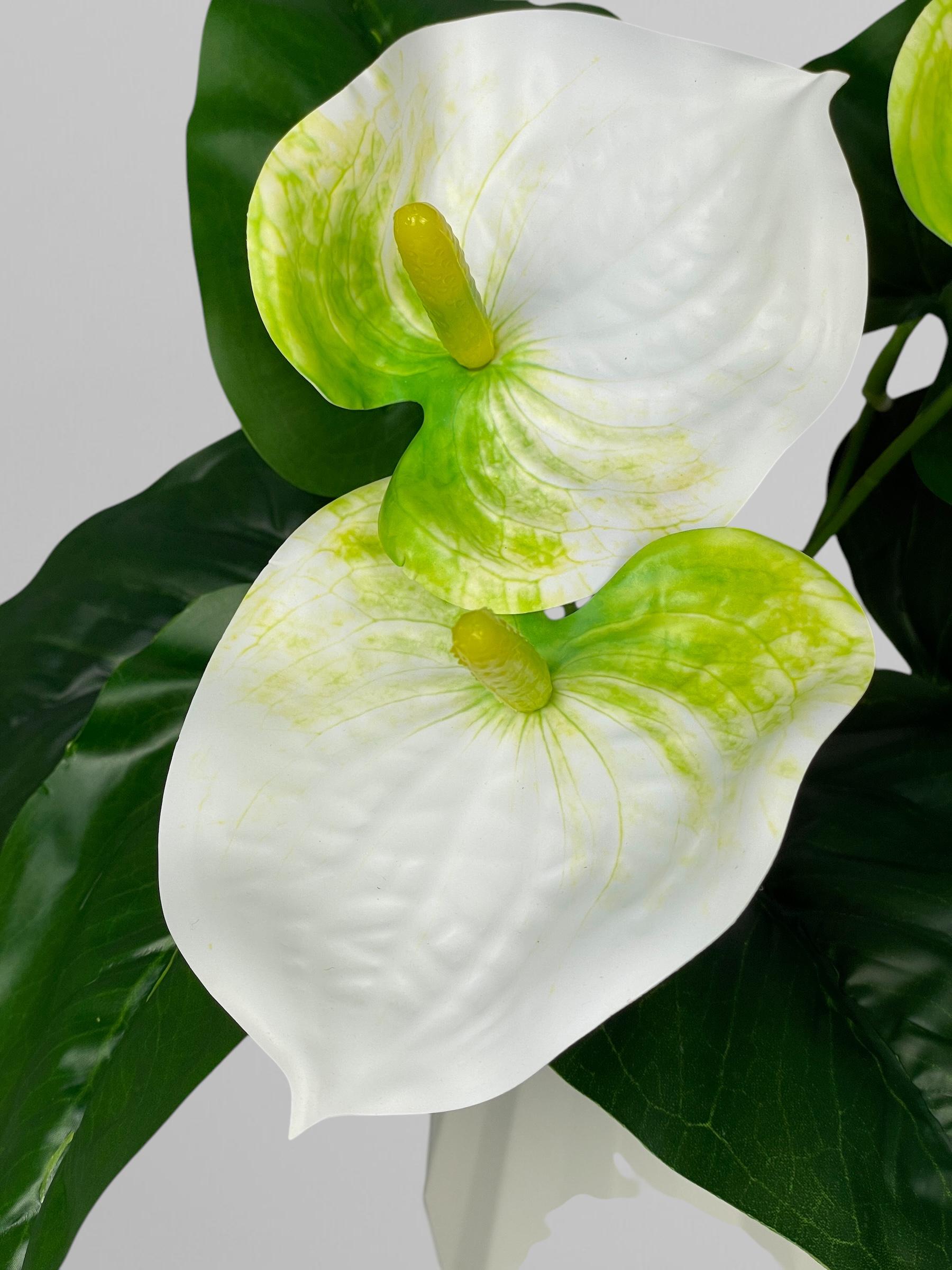 Искусственный букет антуриума 3 цветка 32 см Белый (К13107) - фото 3 Искусственный букет антуриума 3 цветка 32 см Белый (К13107) - фото 3