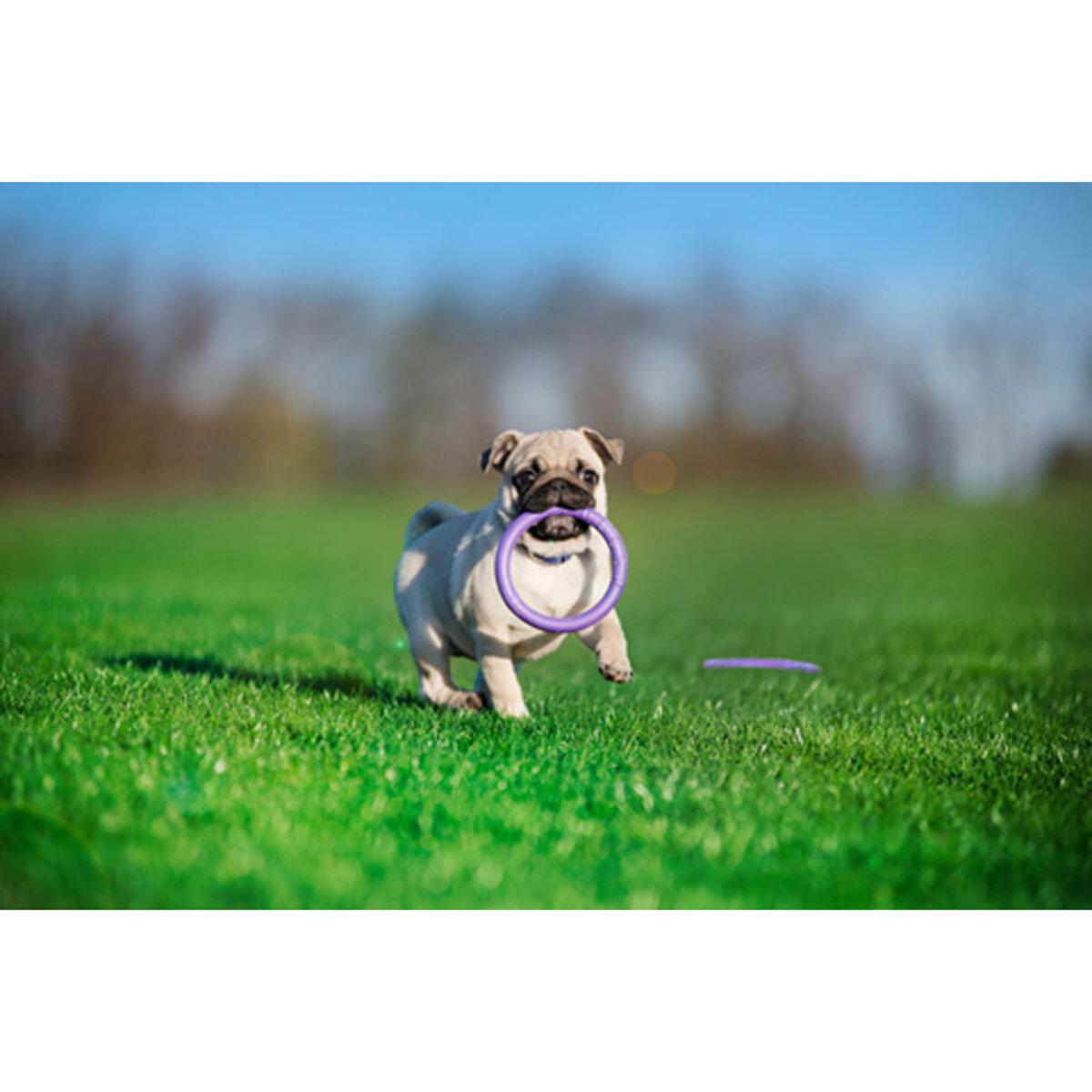 Тренувальний снаряд для собак PULLER Micro D 12,5 см (25881217) - фото 9 Тренувальний снаряд для собак PULLER Micro D 12,5 см (25881217) - фото 9