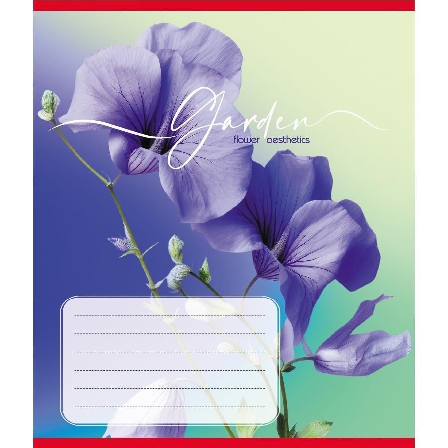 Шкільний зошит Естетика 024-550443K-3 в клітинку 24 аркуші (RLT55304)