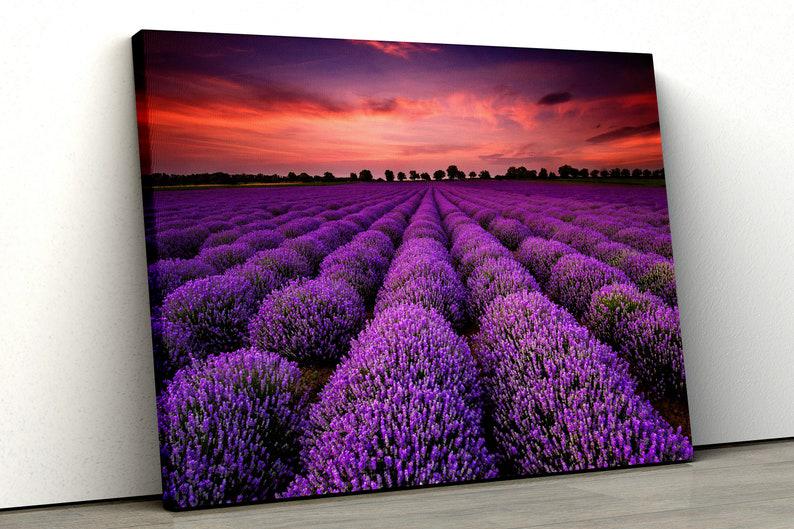 Картина на холсте KIL Art Лавандовое поле 51x34 см (334)