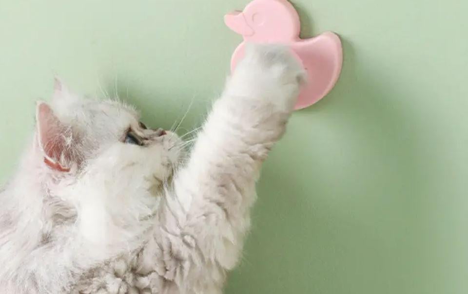 Іграшка кулька для котів Качечка обертаюча котяча м'ята Рожевий (3ef5df38) - фото 3 Іграшка кулька для котів Качечка обертаюча котяча м'ята Рожевий (3ef5df38) - фото 3