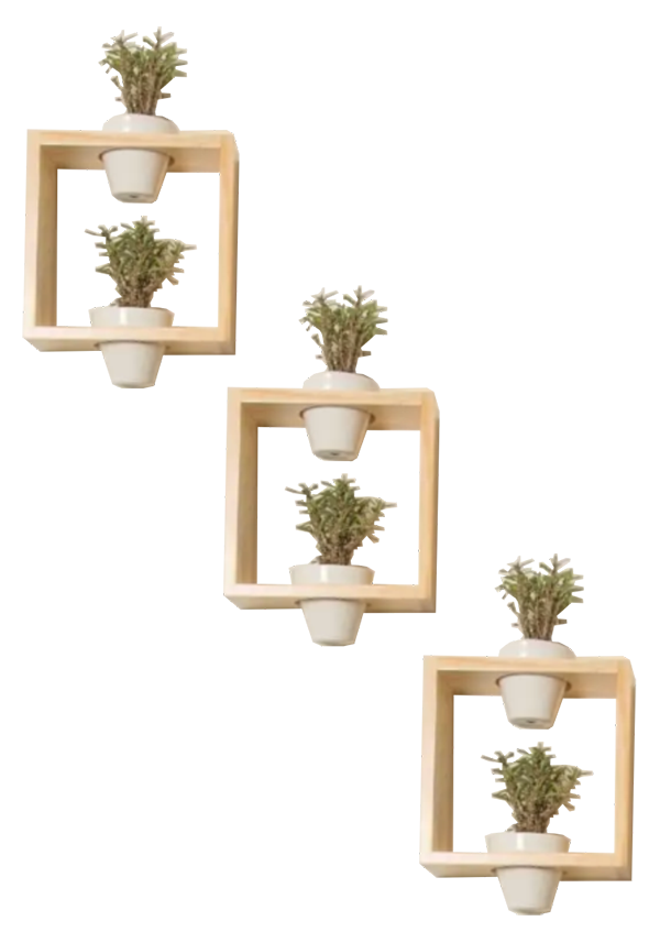 Еко-поличка для зелених друзів 24х24х20 см 3 шт. (ww1)