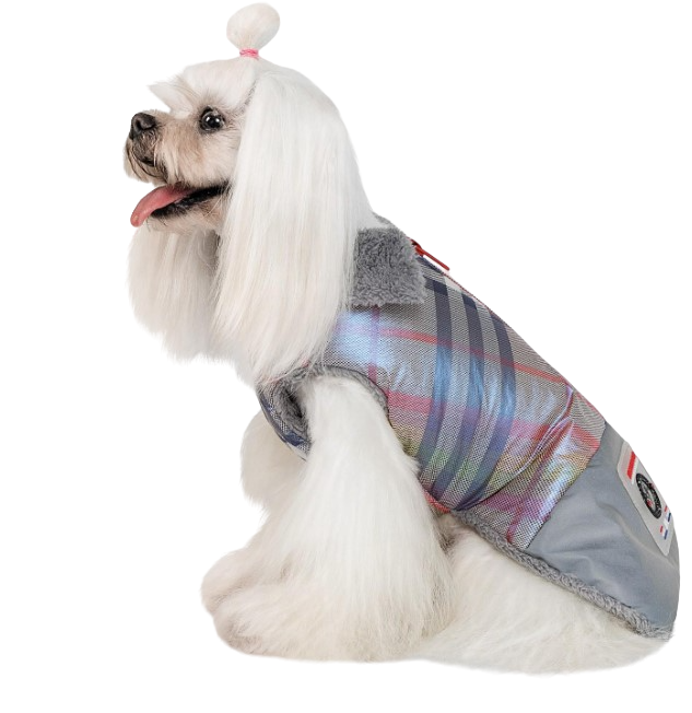 Жилет Pet Fashion Fashion XS2 Серый (PR242322)