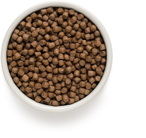 Корм для собак сухой Grandorf Lamb and Turkey Mini Breeds 3 кг - фото 2