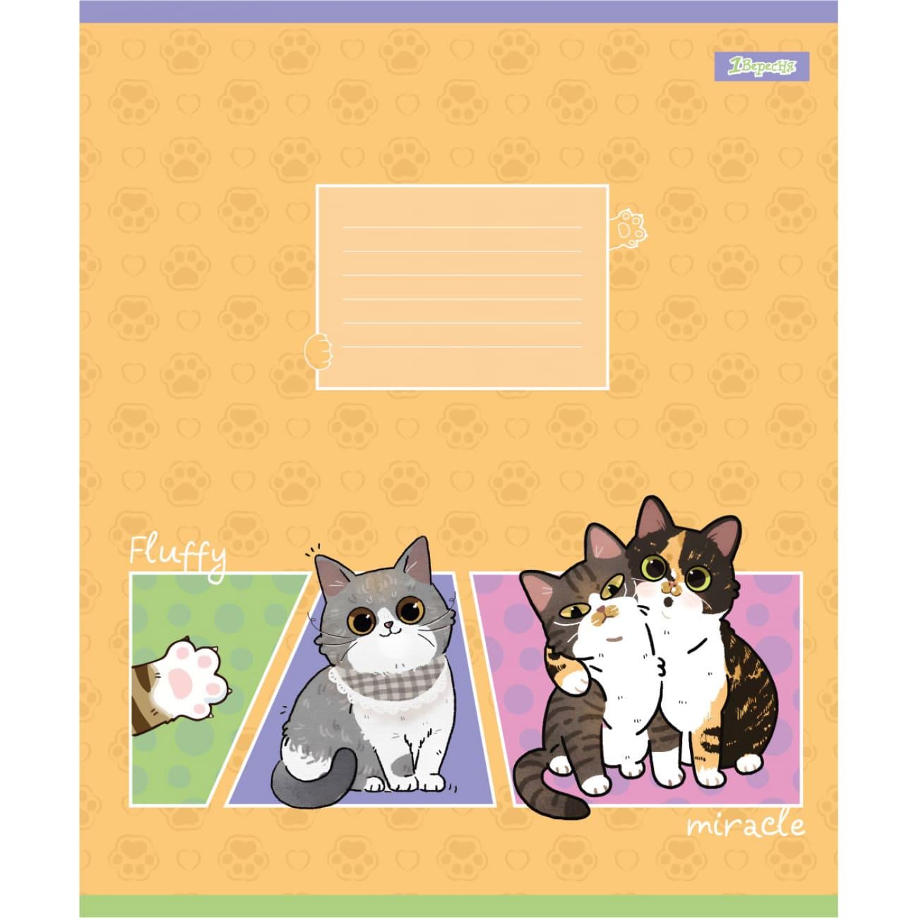 Тетрадь школьная YES Fluffy Miracle коса линия 12 л. (768160) Тетрадь школьная YES Fluffy Miracle коса линия 12 л. (768160)