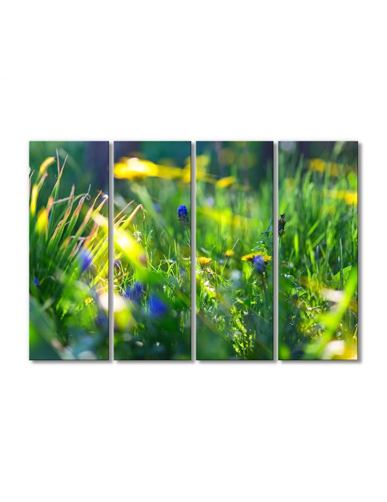 Картина модульная Солнце в полевых цветах 4 модуля 60x90 см (111507cvety_i_rasteniya)