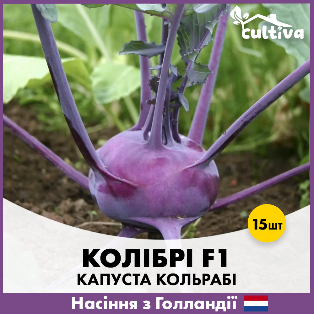 Семена капусты кольраби Bejo Колибри F1 15 шт. (00364)
