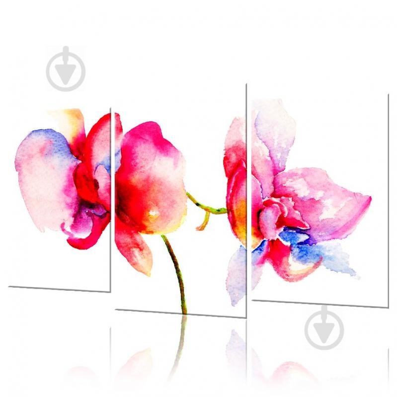 Модульная картина ArtStar цветы Акварельная Орхидея ADFL0044 размер 45 х 70 см
