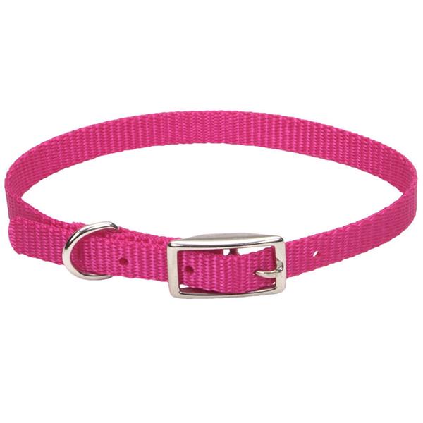 Нашийник для собак Coastal Nylon Web 1х25 см (00301_PKF10) - фото 1 Нашийник для собак Coastal Nylon Web 1х25 см (00301_PKF10) - фото 1