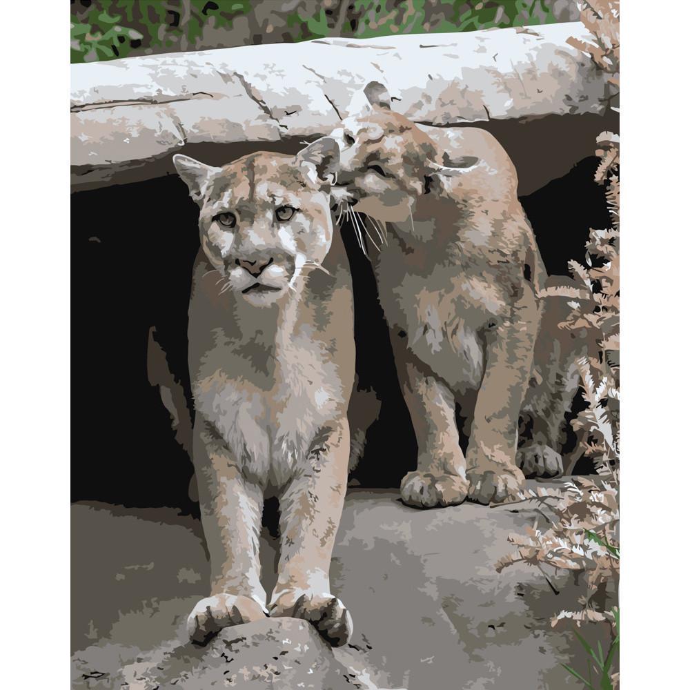 Картина по номерам Strateg Премиум Игривые пумы 40х50 см (DY122)