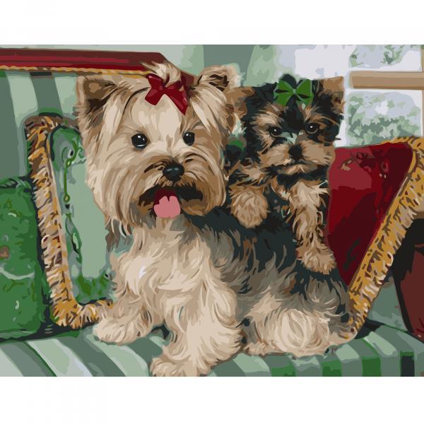 Набор для росписи по номерам Strateg Терьерыа на подушках 40х50 см (VA-1737-mt)