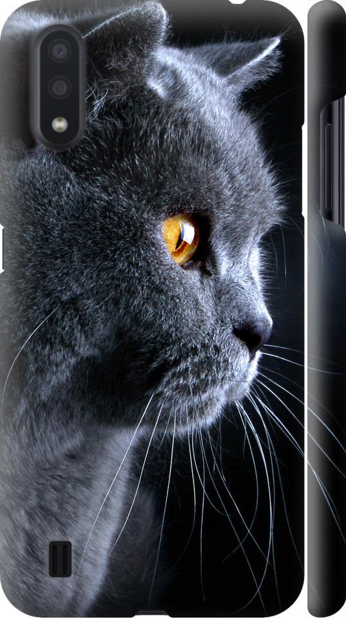 Чохол на Samsung Galaxy A01 A015F Гарний кіт (3038m-1842-42517)