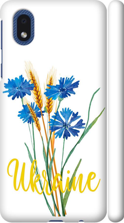 Чехол на Samsung Galaxy A01 Core A013F Ukraine v2 (5445m-2065-42517) Чехол на Samsung Galaxy A01 Core A013F Ukraine v2 (5445m-2065-42517)