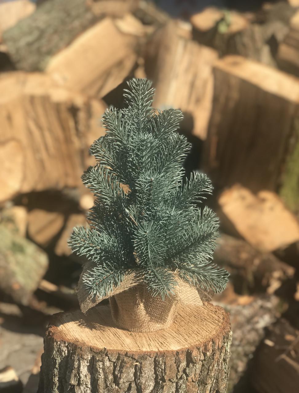 Штучна ялинка лита HVOYA SGH Premium в мішковині 35 см Блакитний (1942962208) - фото 1 Штучна ялинка лита HVOYA SGH Premium в мішковині 35 см Блакитний (1942962208) - фото 1