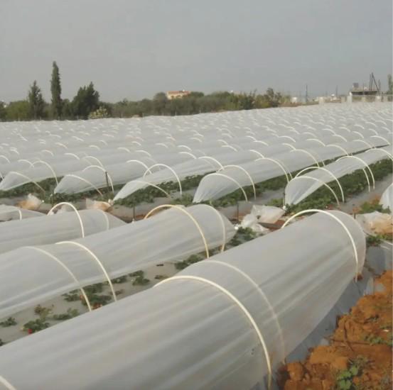 Пленка для теплиц вторичная 200 мкм 3х50 м Прозрачный/Серый (28091896) - фото 3