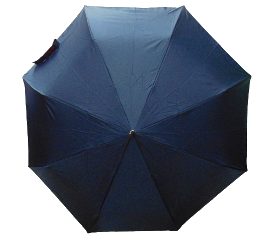 Зонт полуавтомат Toprain 2069 антиветер 8 спиц Синий (1904720140)