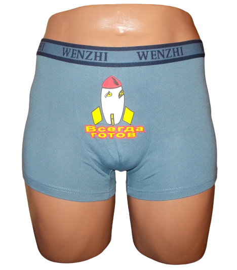 Трусы мужские Wenzhi 5810 XL Серый