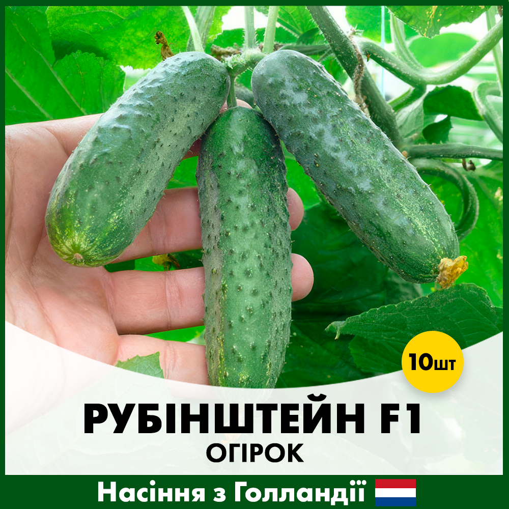 Насіння огірка Rijk Zwaan Рубінштейн F1 10 шт. (R50205)