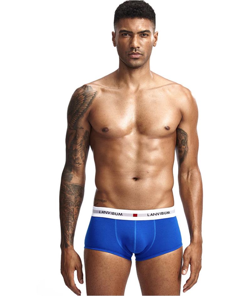 Нижня білизна Lanvibum L Синій (SP5540)
