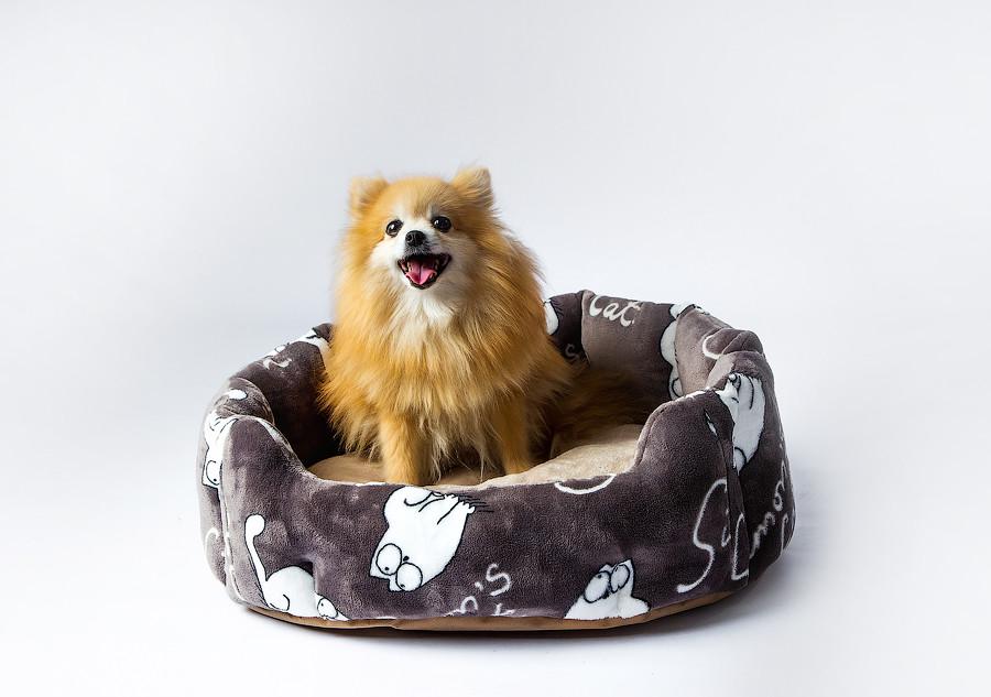 Лежак для собаки 40x24x60 см Серый - фото 2 Лежак для собаки 40x24x60 см Серый - фото 2