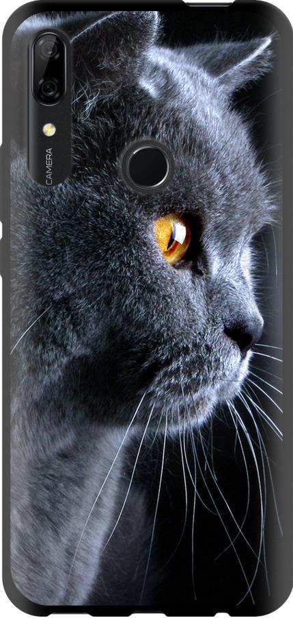 Чехол на Huawei P Smart Z Красивый кот (3038b-1704-42517)