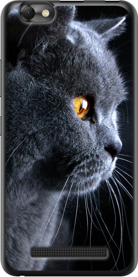Чехол на Lenovo Vibe C A2020 Красивый кот (3038u-283-42517)